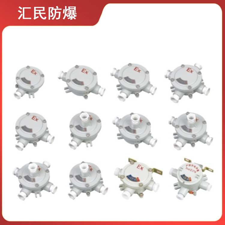 AH系列防爆接線盒（ⅡB、ⅡC、e）